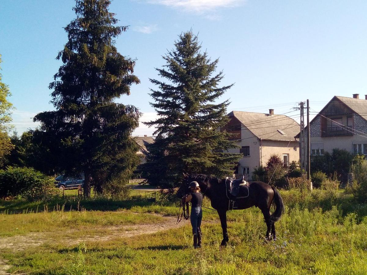 Fenyőfa vendégház Szilvásvárad Esterno foto